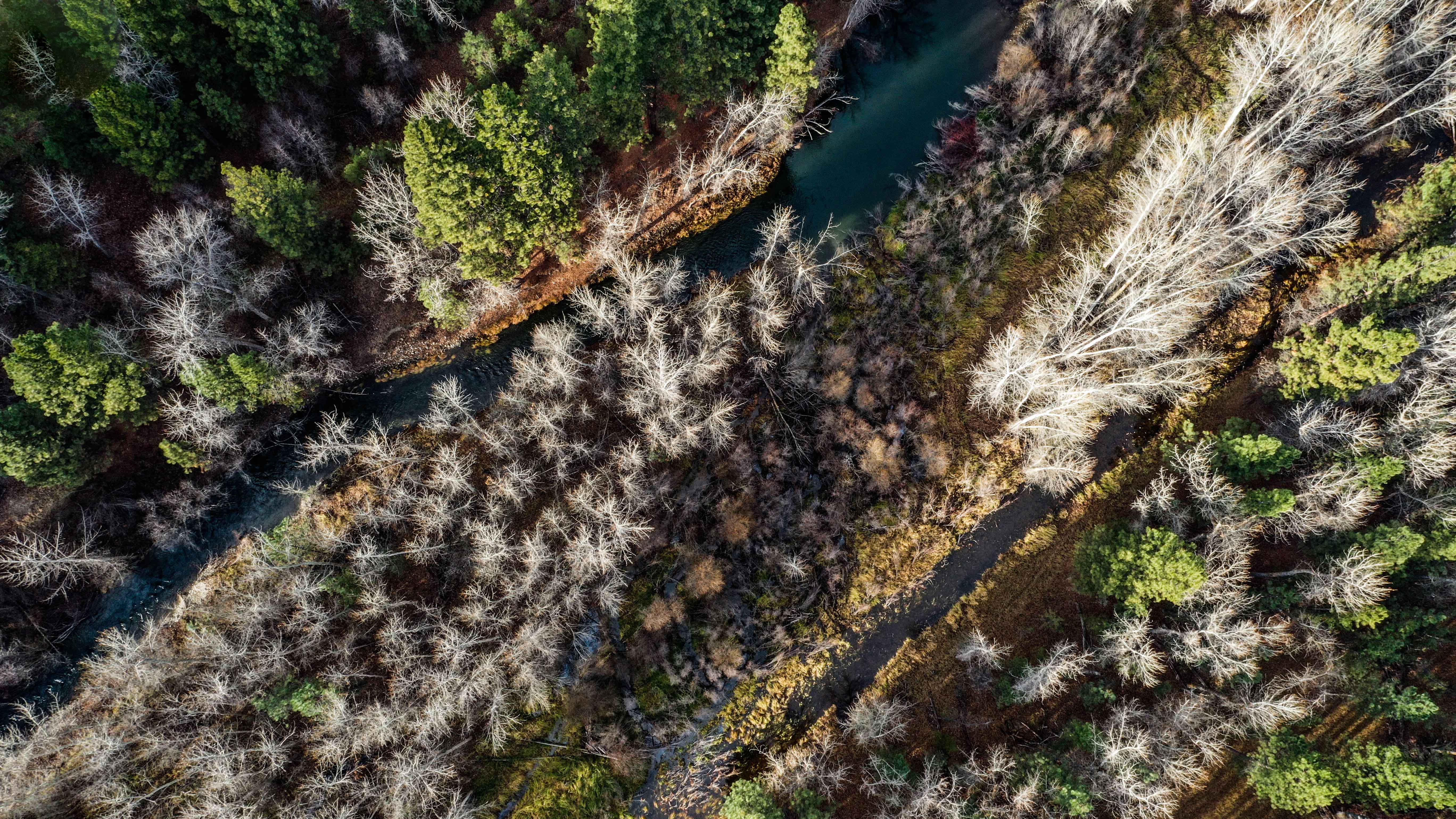 Aerial Photo Banks of the Bitterroot