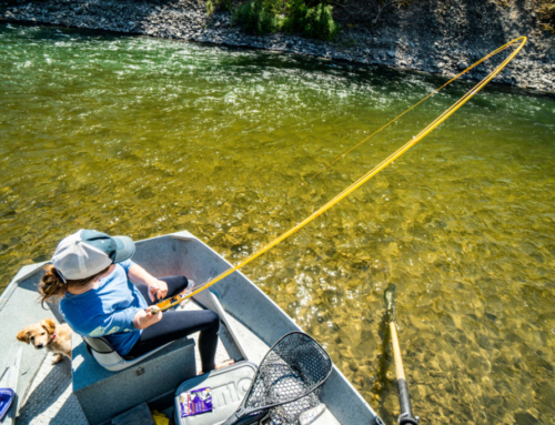 The Clark Fork River