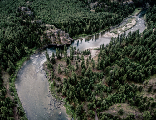 The Blackfoot River
