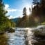 River surrounded by forest.