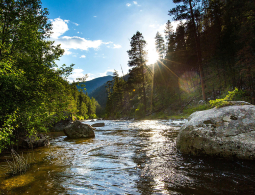 Rock Creek