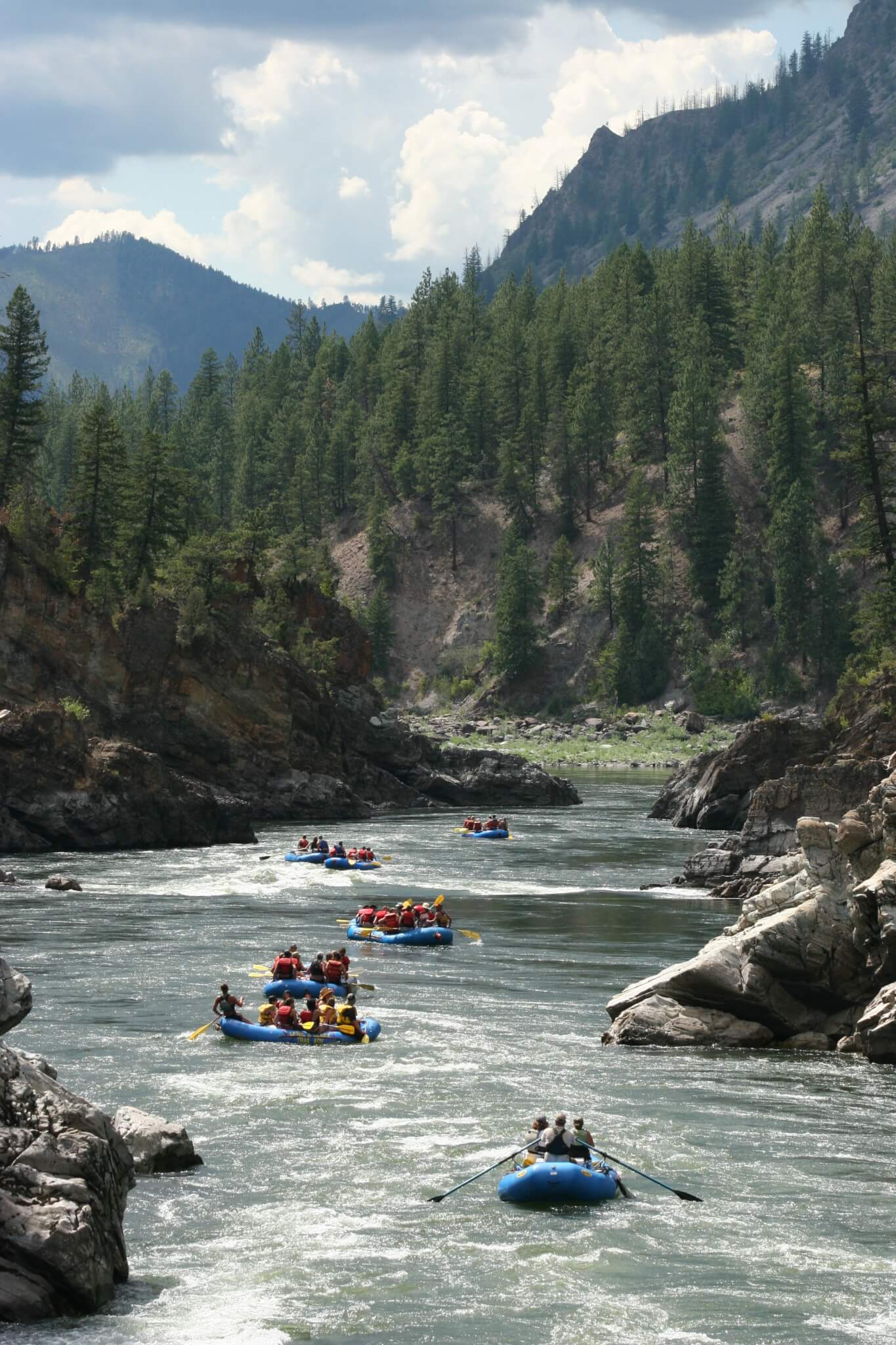 Five blue rafts floating down Montana river.