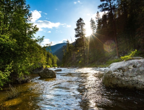 Rock Creek Scouting Report
