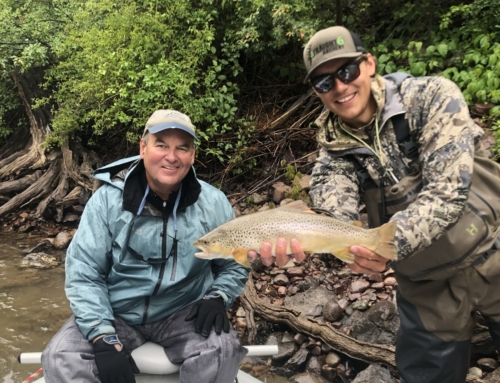 The Return of the Rain, Trout Still Have to Eat