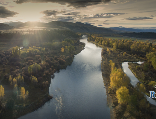 May Dry Fly Showers